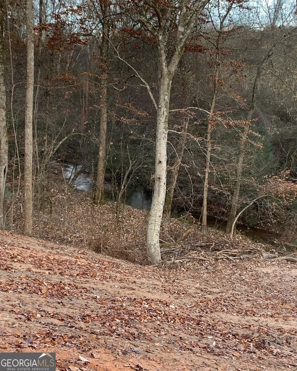 380 Wilson Road Whitesburg - Photo 10