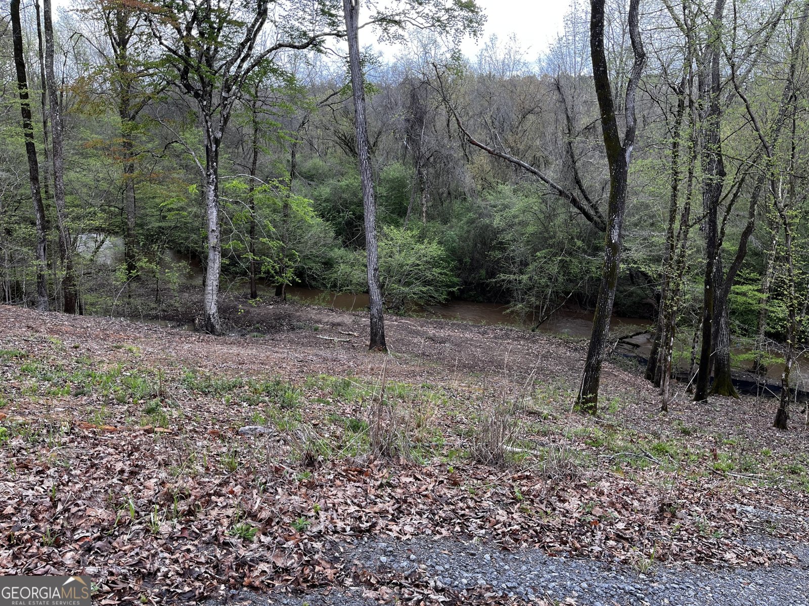 380 Wilson Road Whitesburg - Photo 11