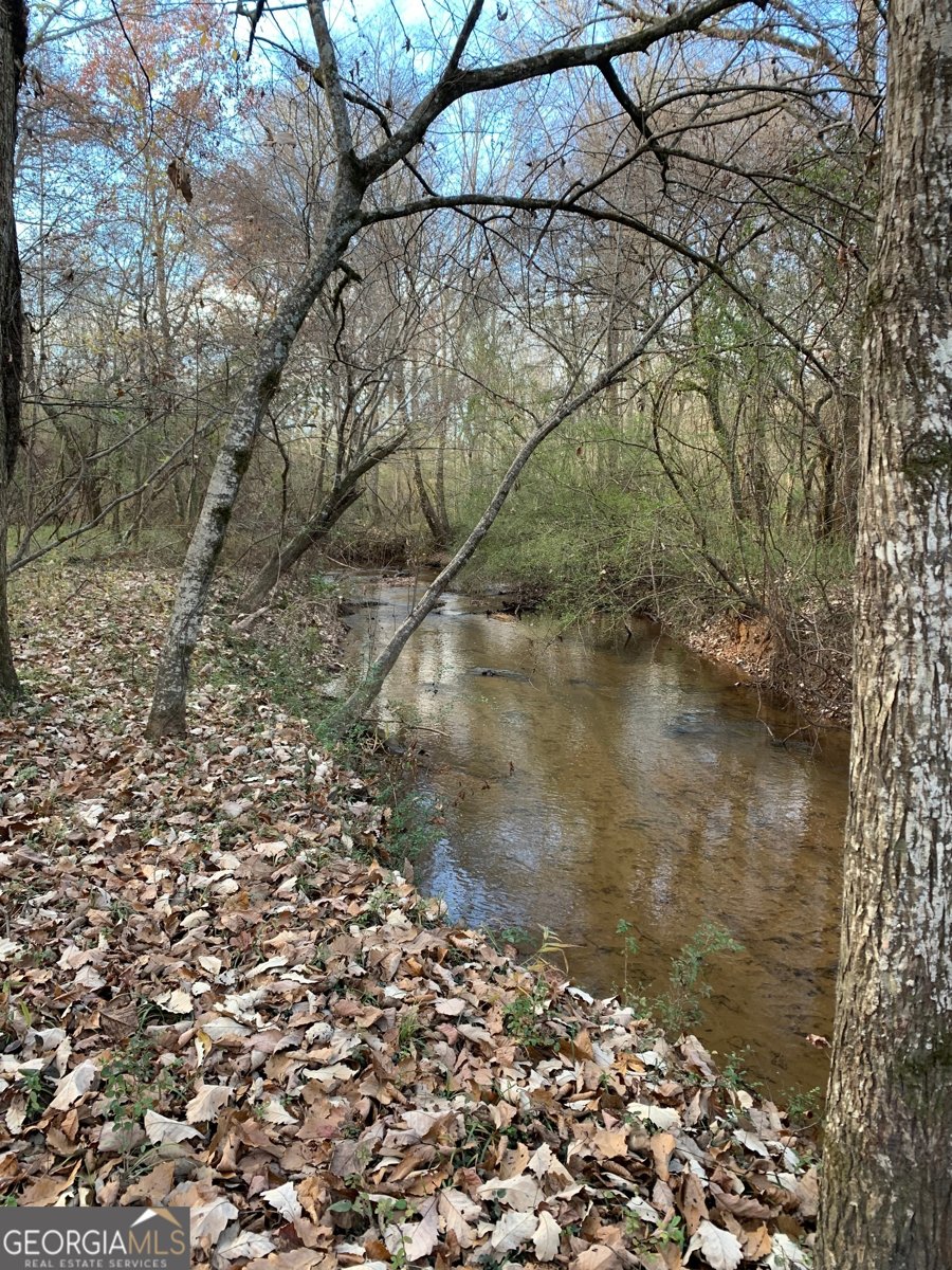 380 Wilson Road Whitesburg - Photo 12