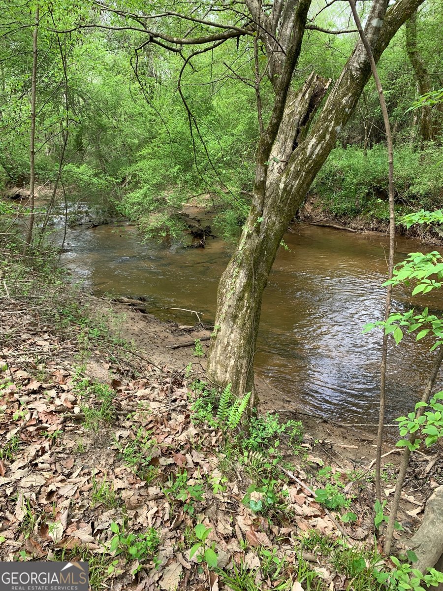 380 Wilson Road Whitesburg - Photo 13