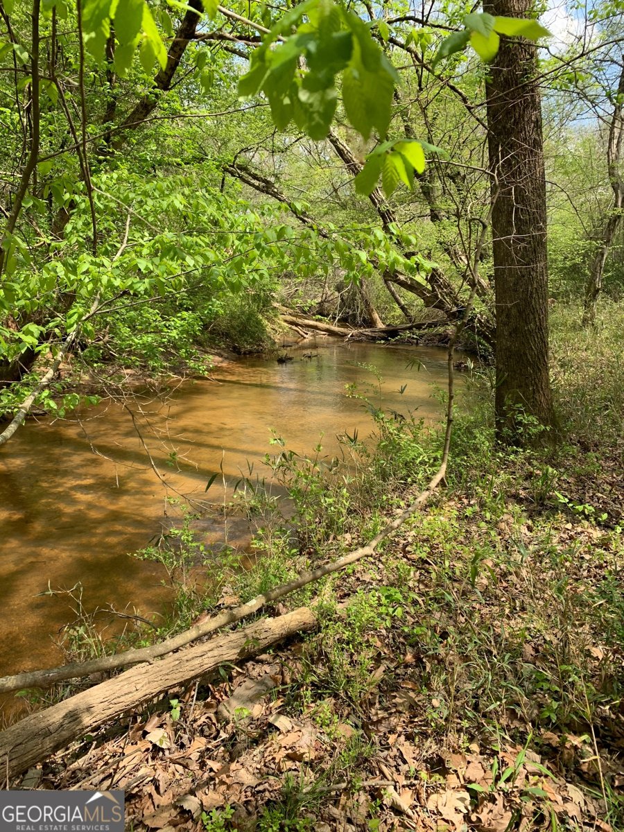 380 Wilson Road Whitesburg - Photo 14