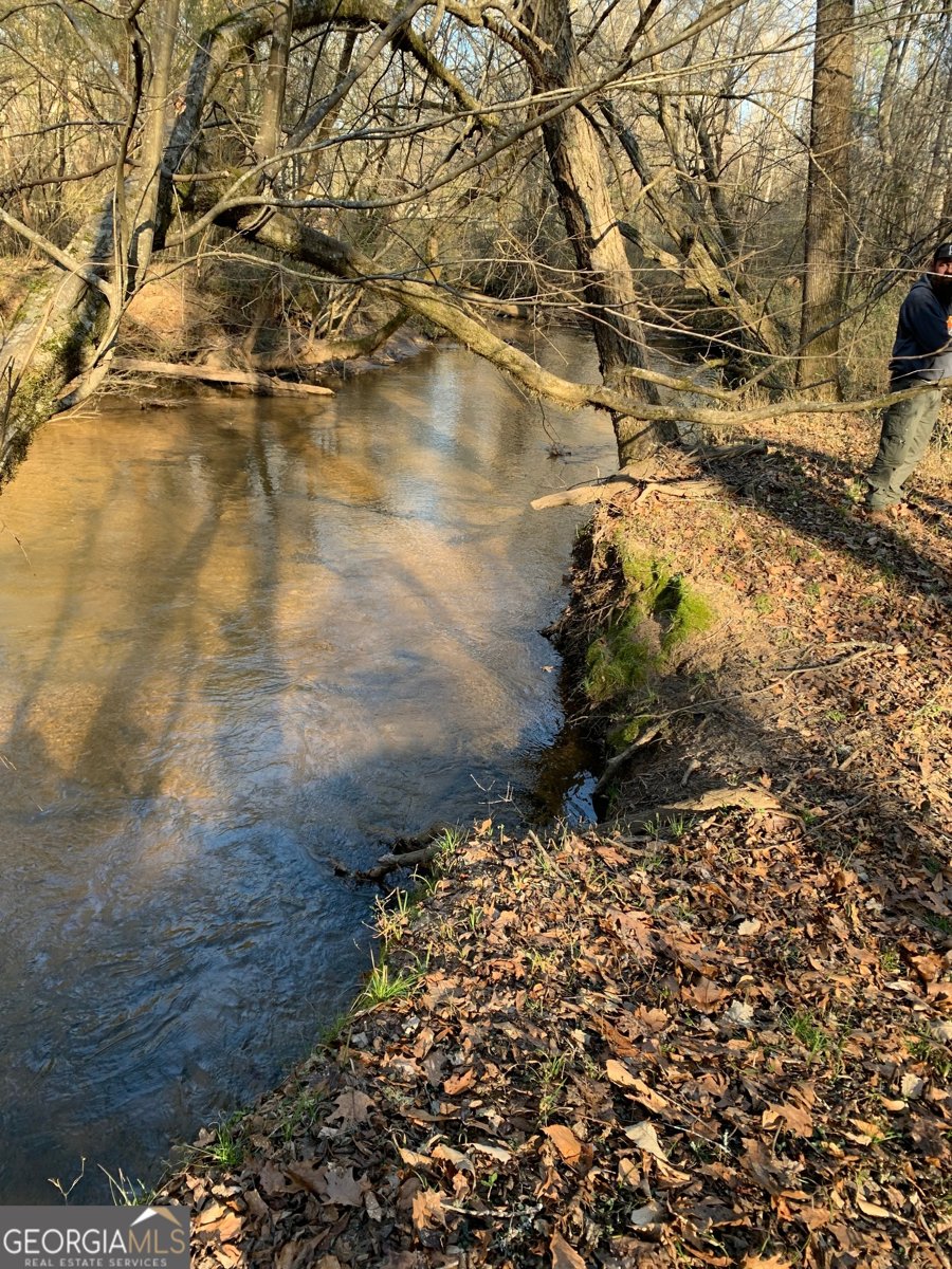 380 Wilson Road Whitesburg - Photo 15