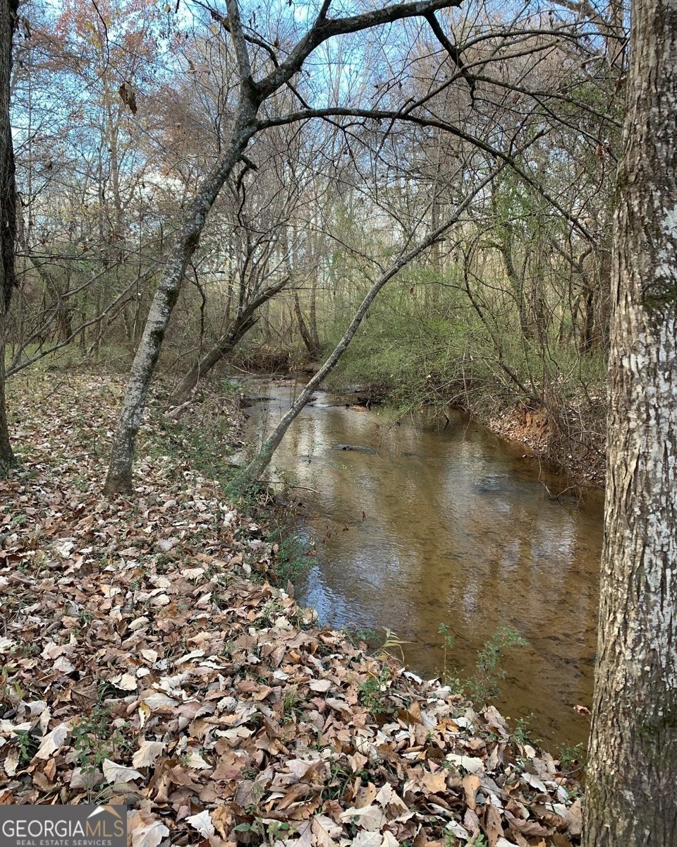 380 Wilson Road Whitesburg - Photo 17