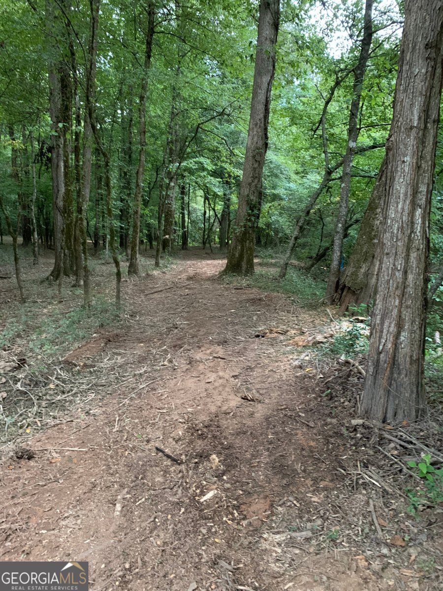 380 Wilson Road Whitesburg - Photo 18