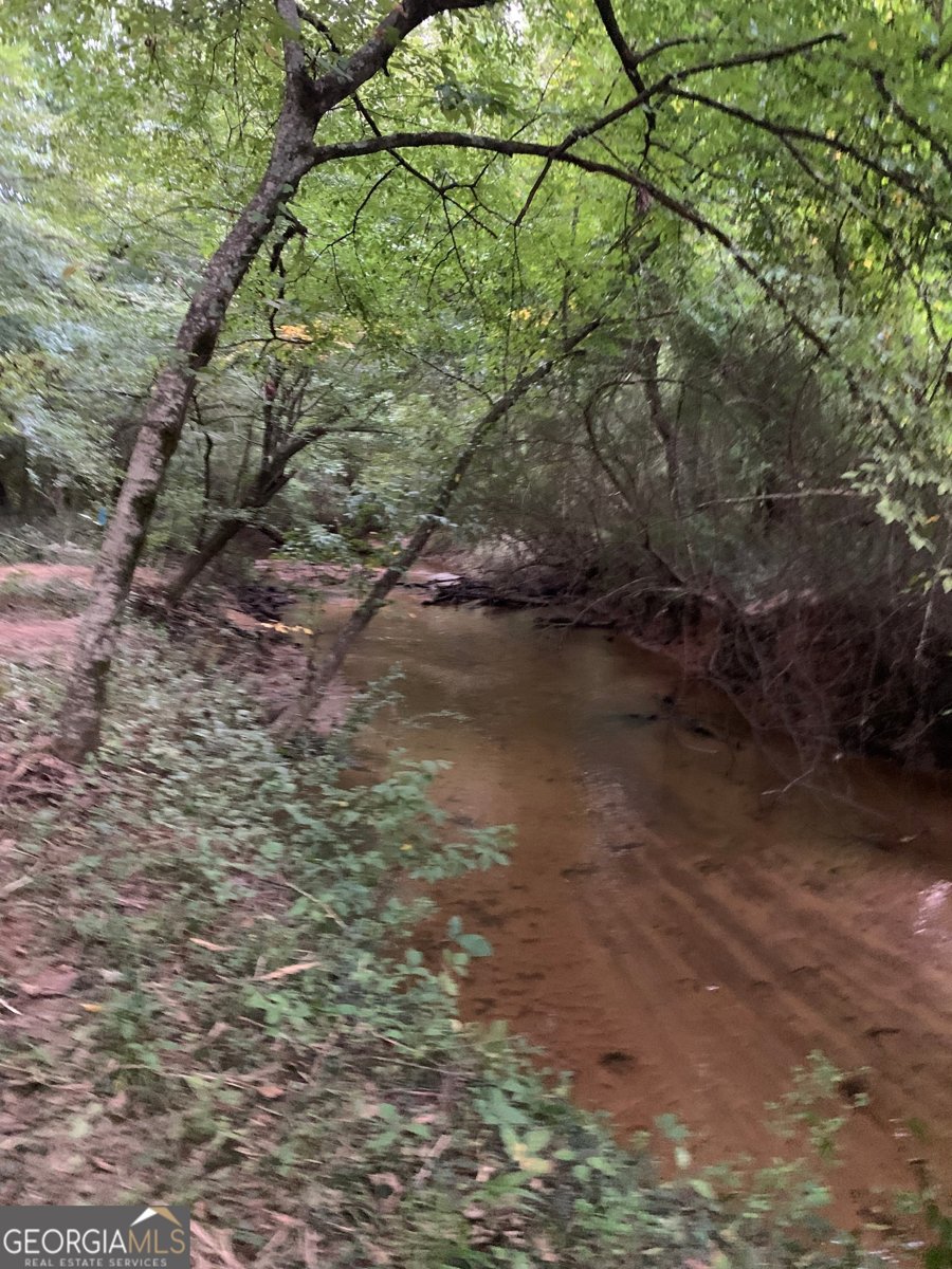 380 Wilson Road Whitesburg - Photo 19