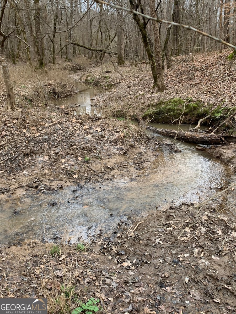 380 Wilson Road Whitesburg - Photo 20