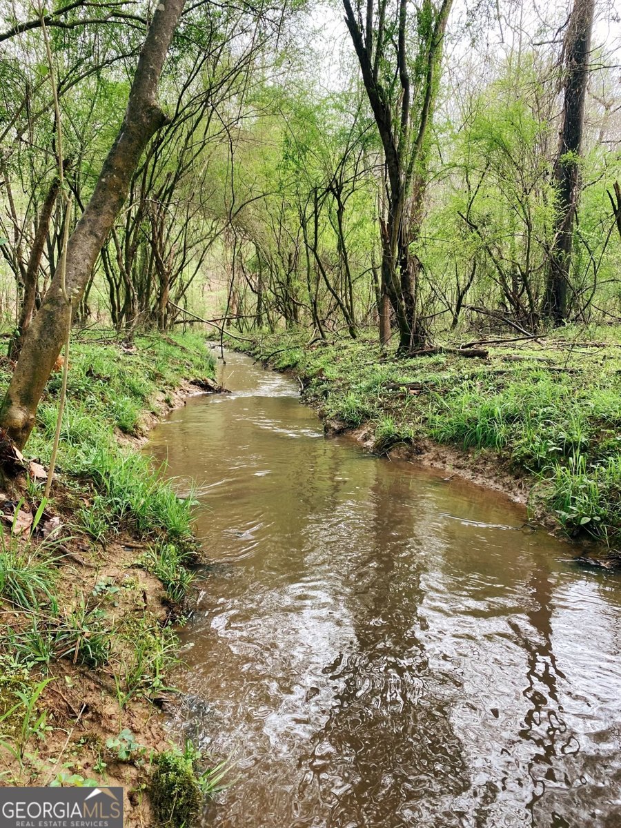 380 Wilson Road Whitesburg - Photo 22