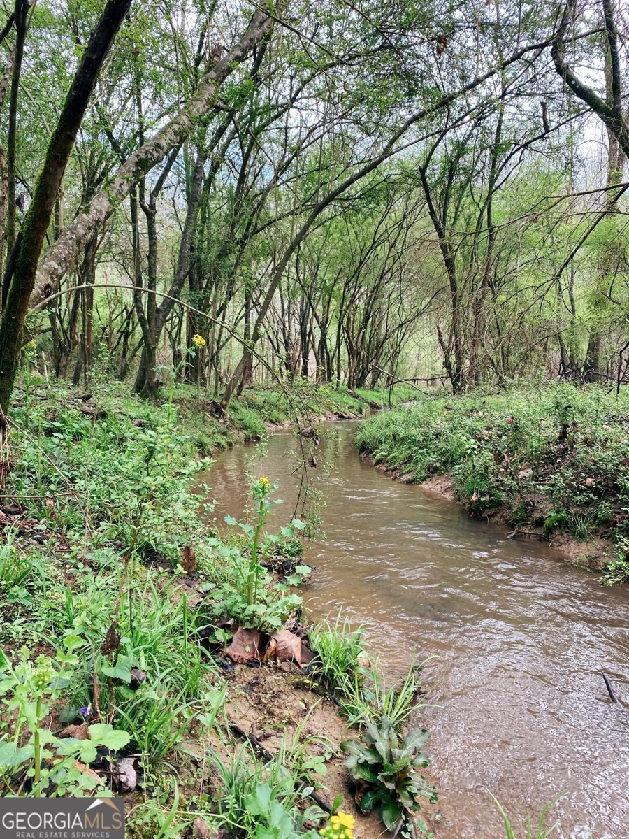 380 Wilson Road Whitesburg - Photo 25