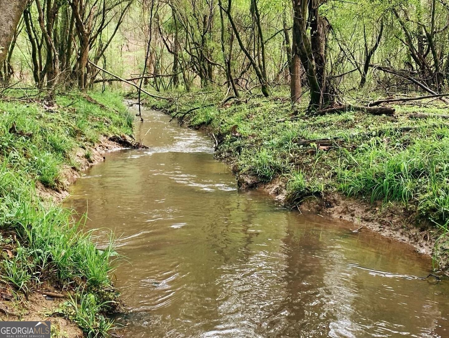 380 Wilson Road Whitesburg - Photo 26