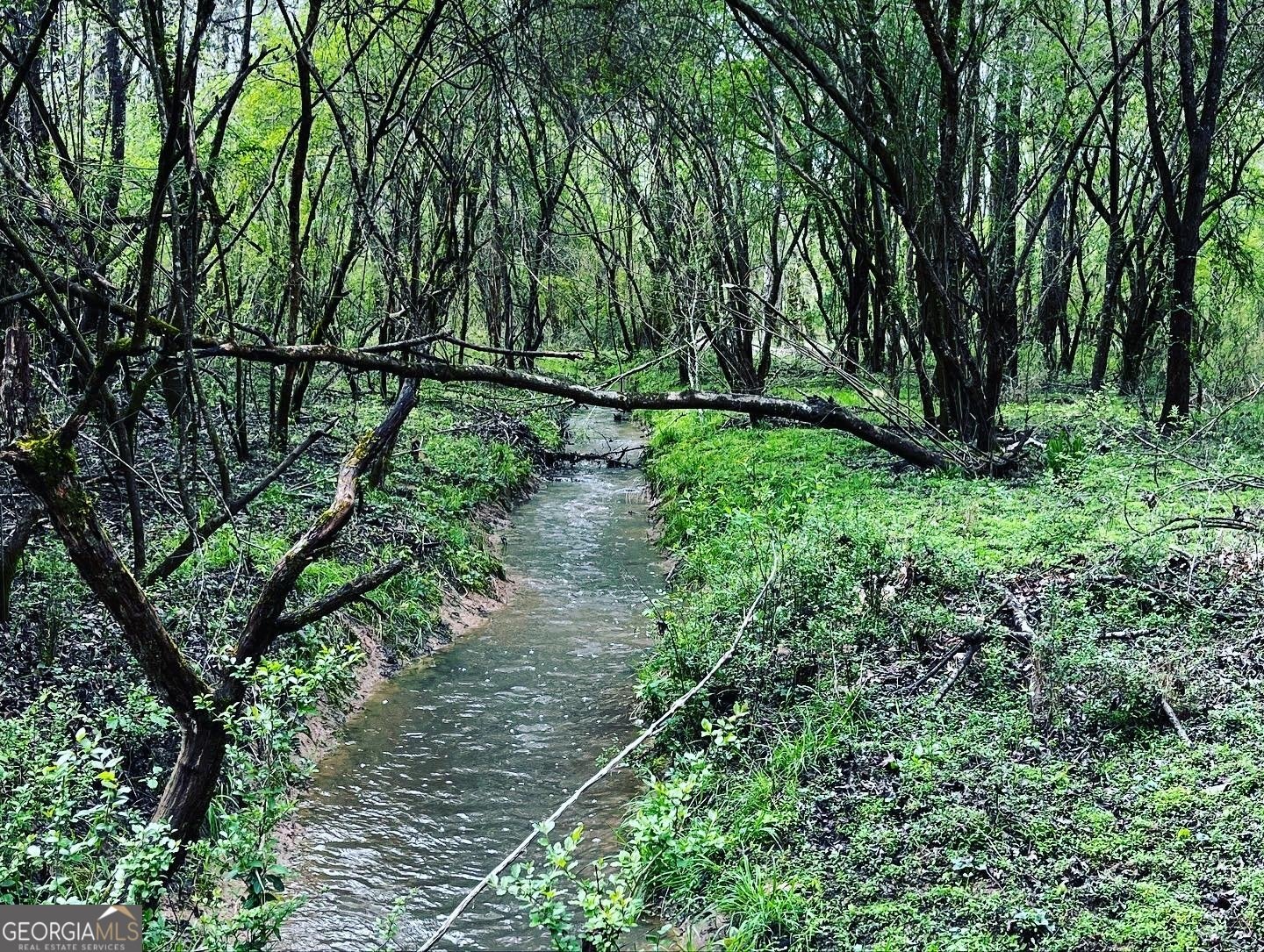 380 Wilson Road Whitesburg - Photo 27