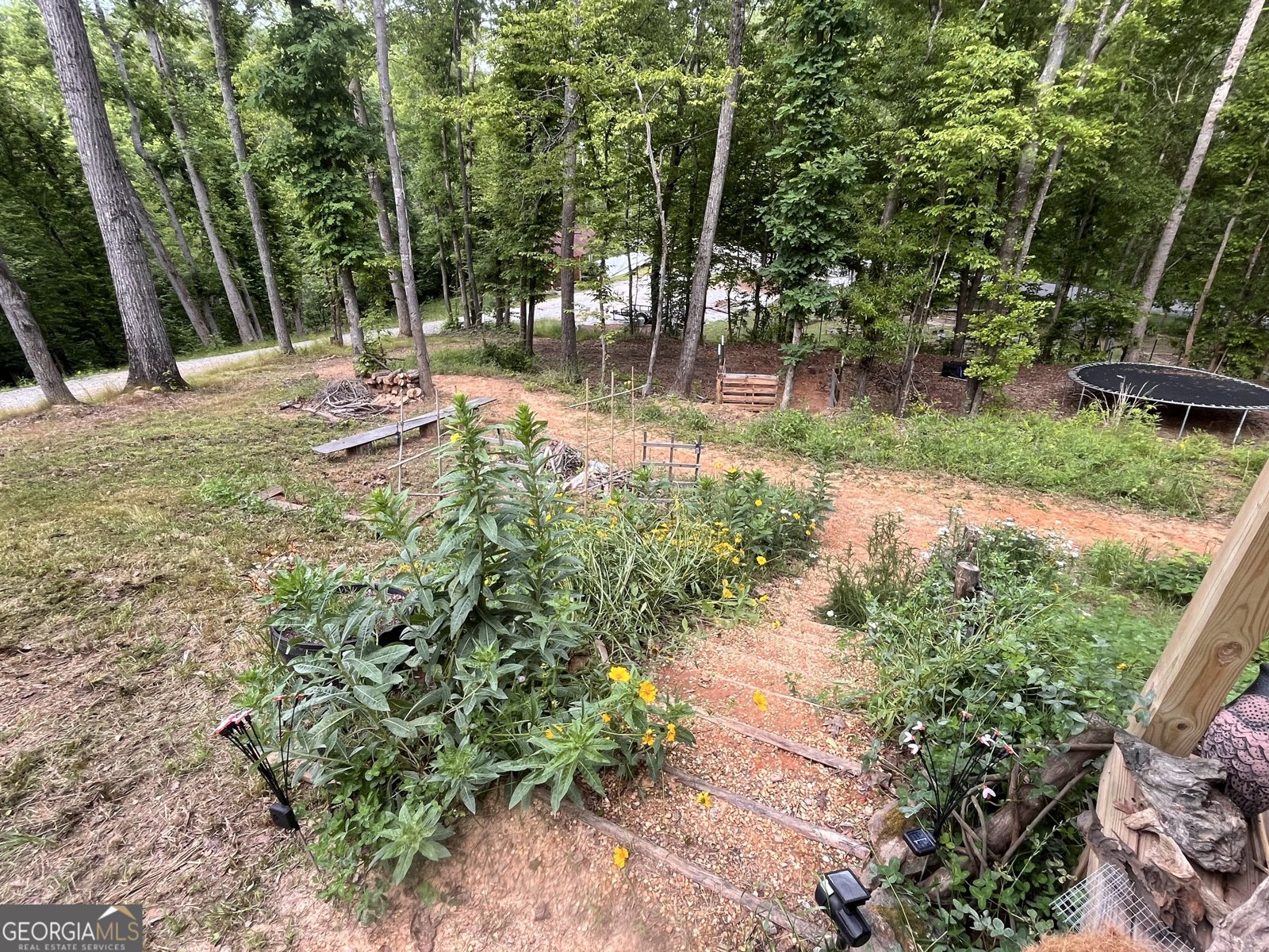 380 Wilson Road Whitesburg - Photo 28