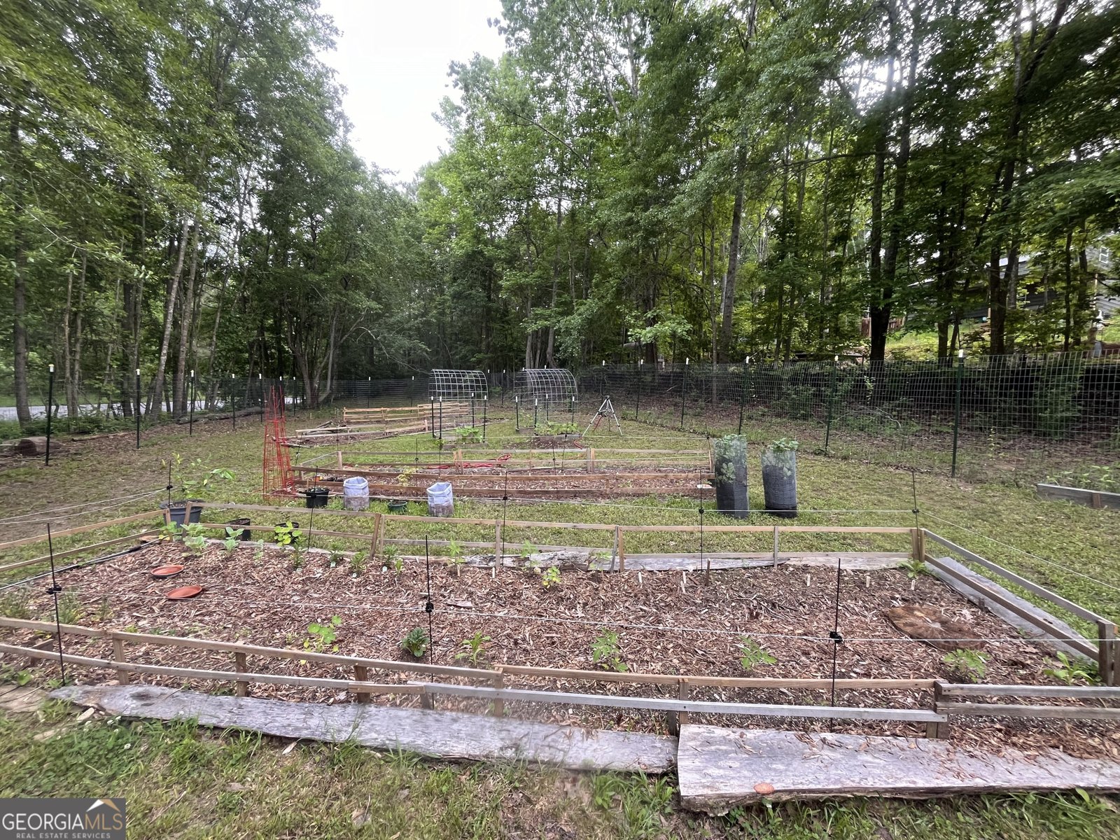 380 Wilson Road Whitesburg - Photo 29