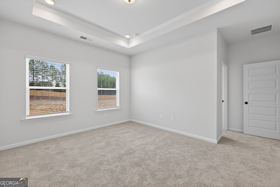 48 Alameda Street Loganville - Photo 16