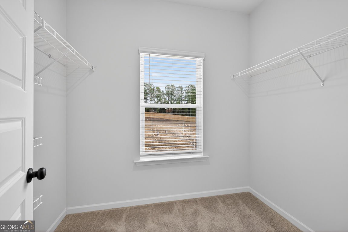 48 Alameda Street Loganville - Photo 21