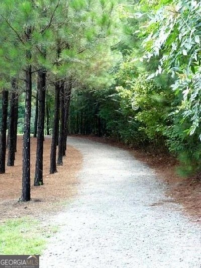 1105 Dapplefawn Court Alpharetta - Photo 68