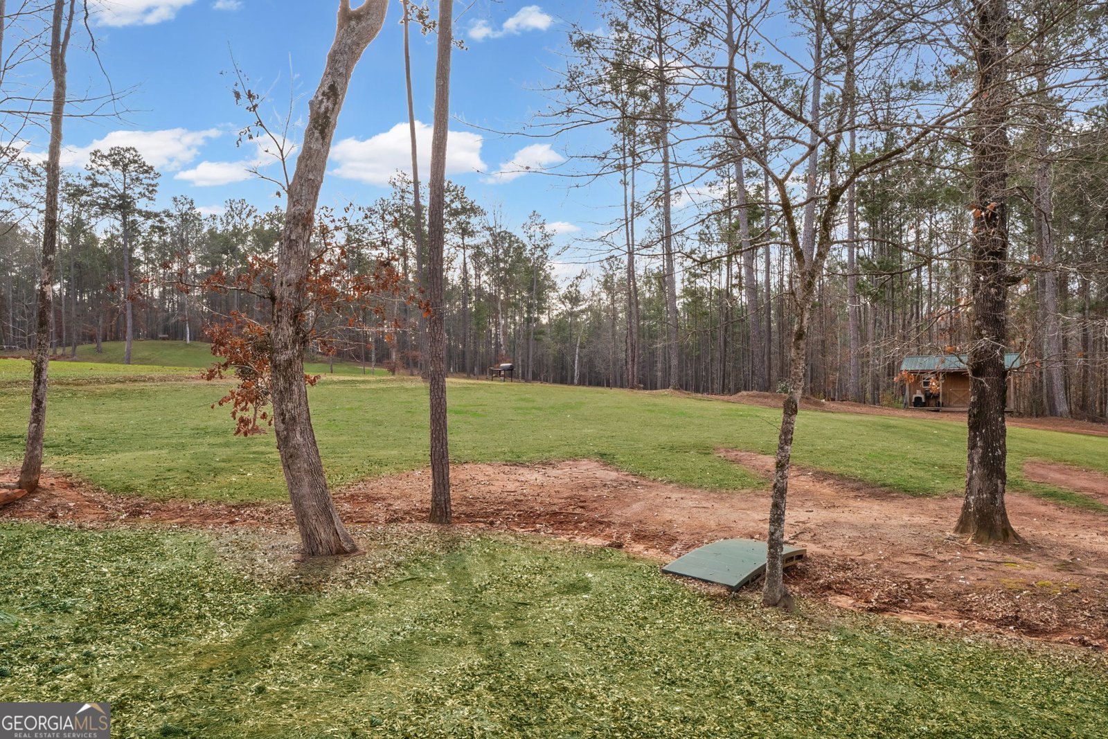 2376 Smokey Road Newnan - Photo 38