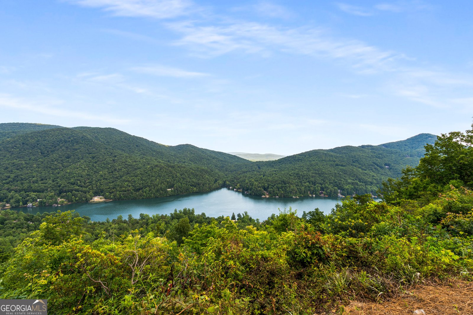 714 Sonya Road Clayton - Photo 49