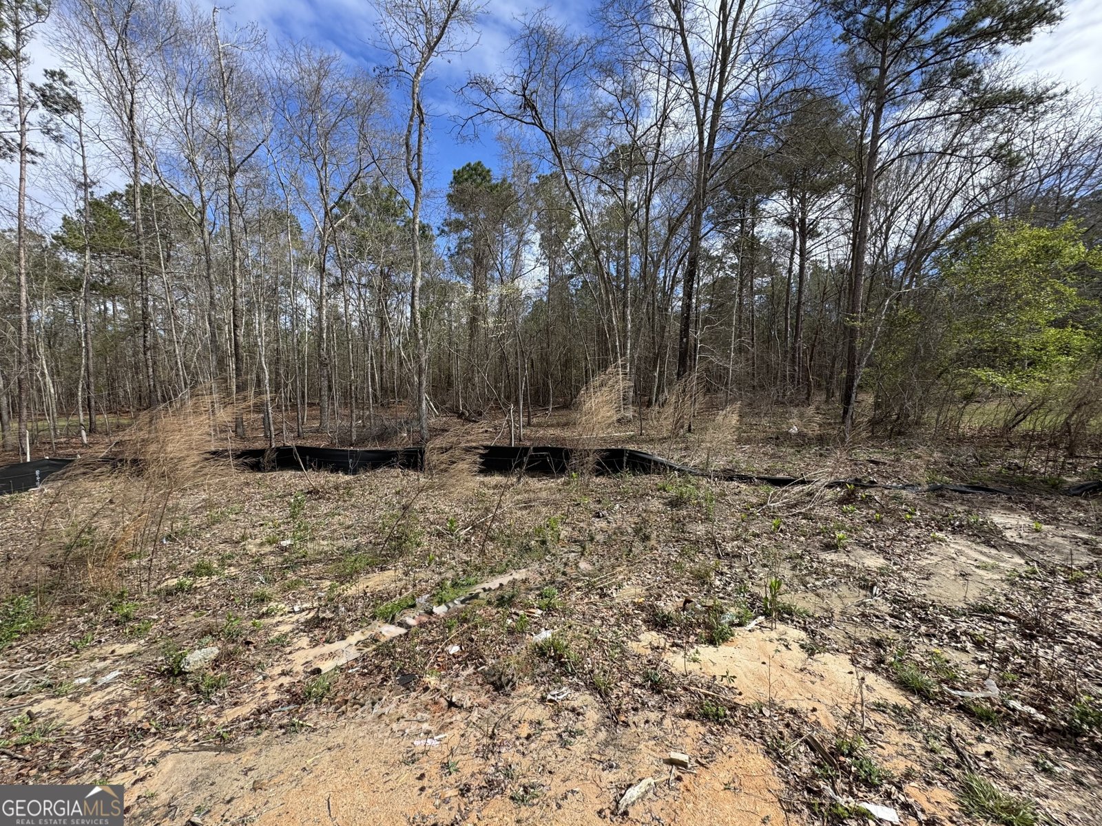 166 Country World Drive Macon - Photo 36