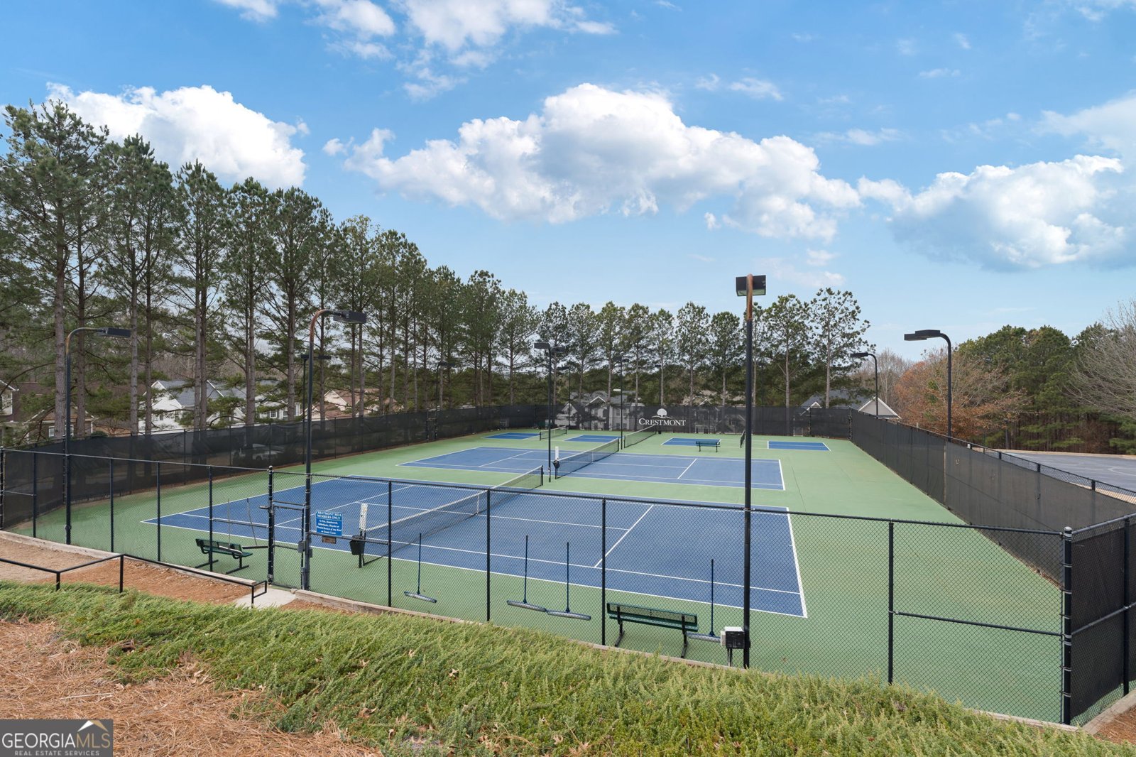 415 Crestmont Lane Canton - Photo 47