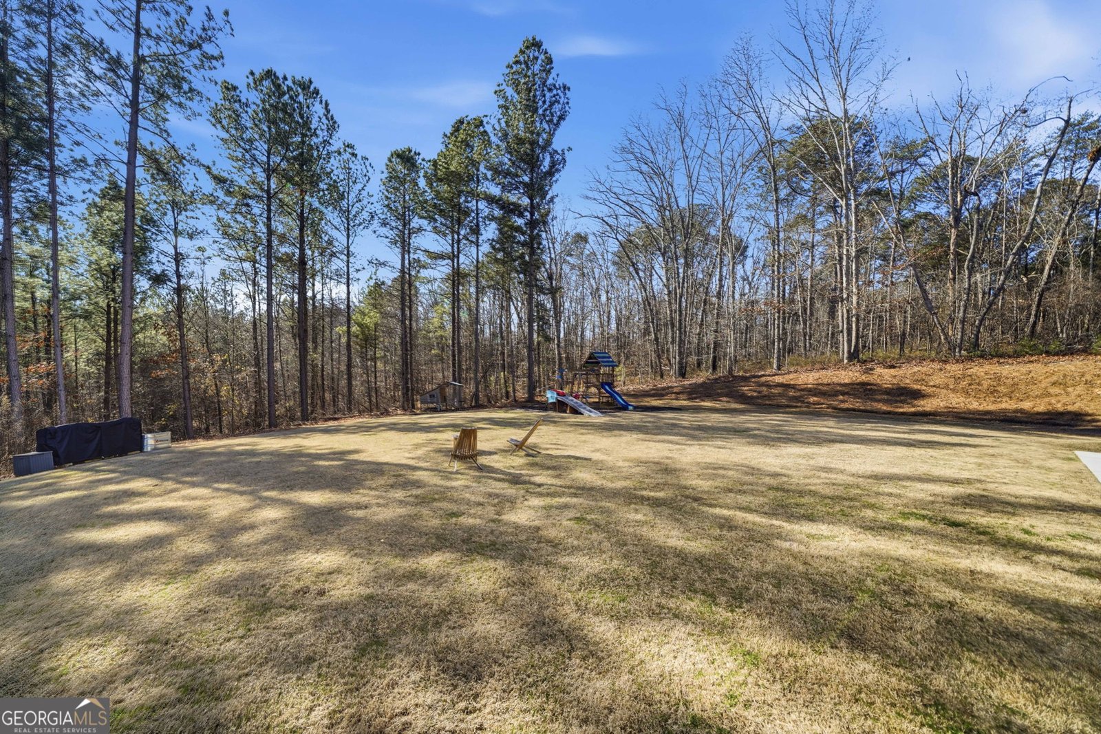 850 Land Road Canton - Photo 51