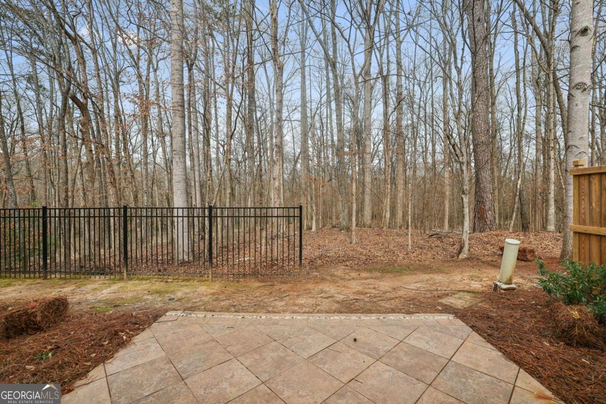 305 Snowgoose Court Alpharetta - Photo 27