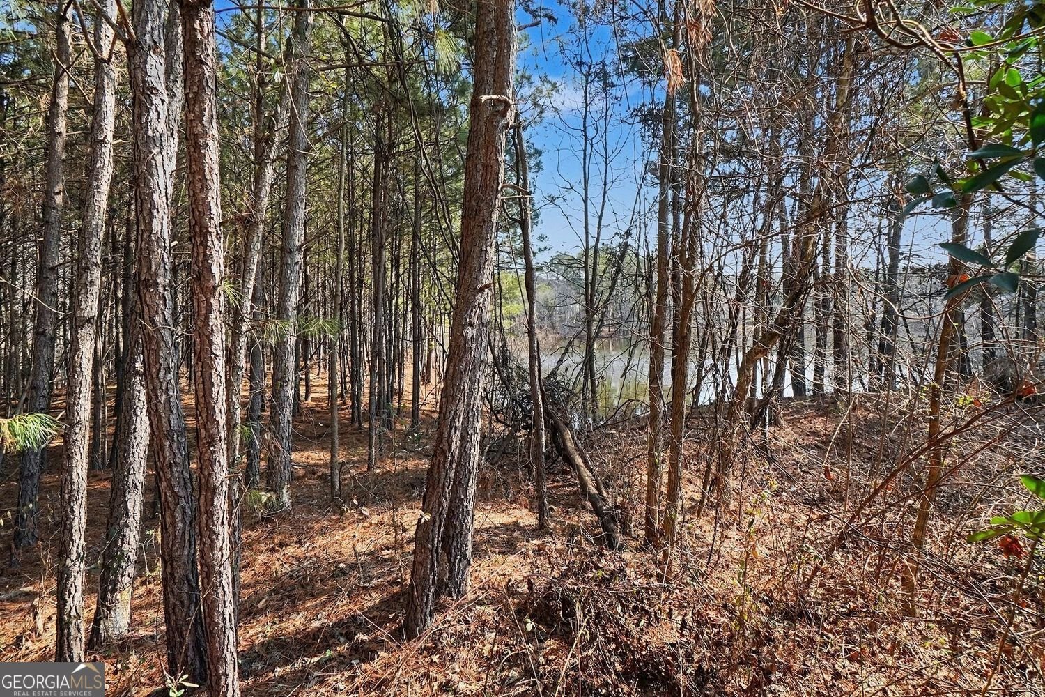 2552 Wolf Den Lane Atlanta - Photo 30