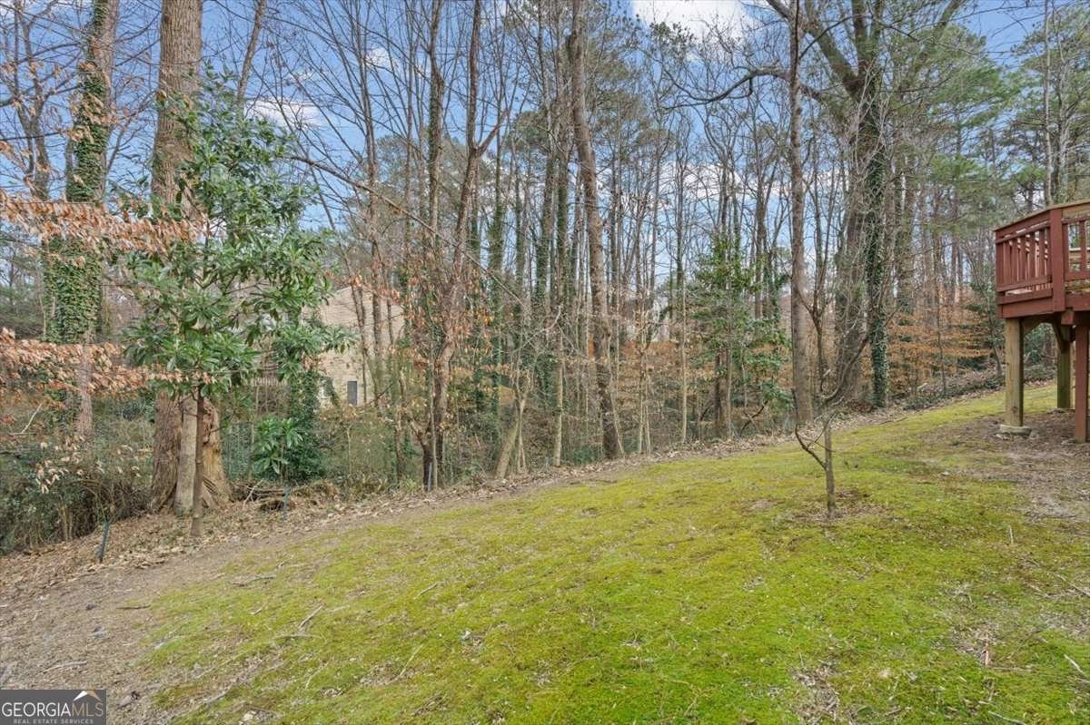 2051 Bishop Creek Drive Marietta - Photo 41