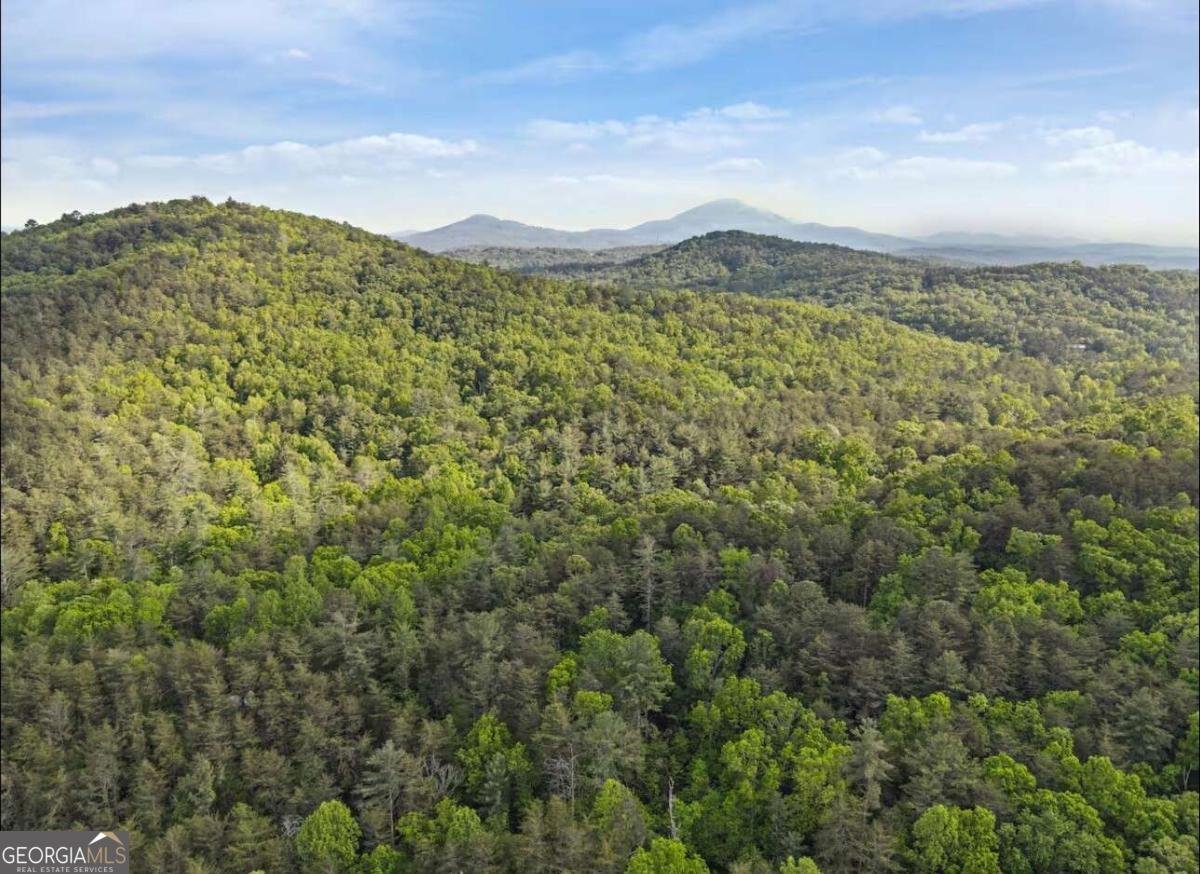 139 Country Breeze Drive Sautee Nacoochee - Photo 26