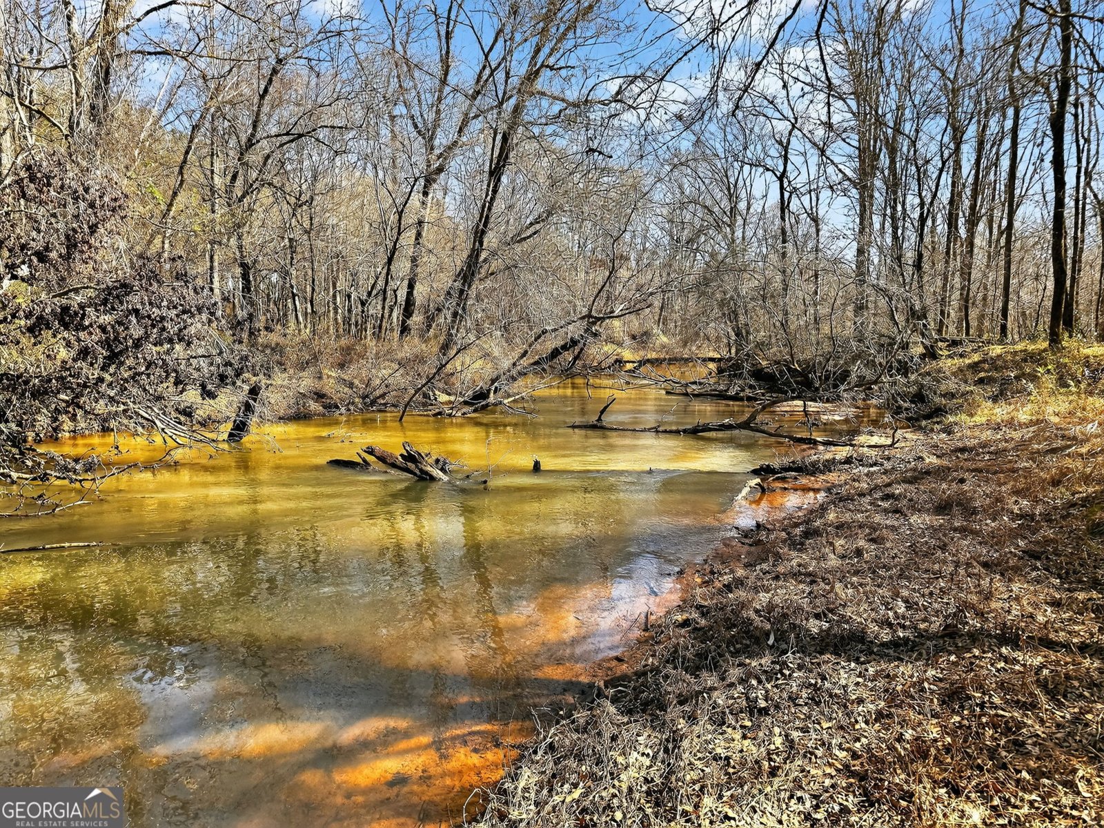 261 McIntosh Circle Jackson - Photo 77