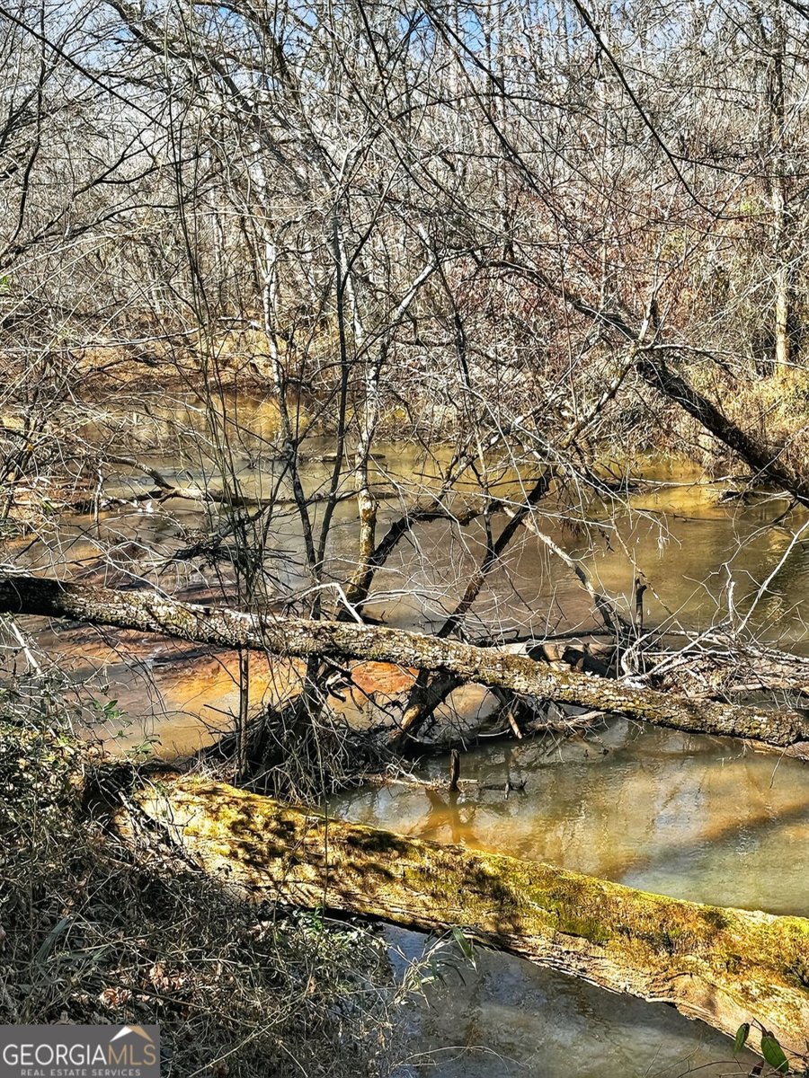 261 McIntosh Circle Jackson - Photo 79