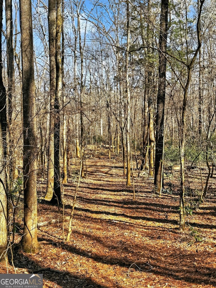 261 McIntosh Circle Jackson - Photo 80