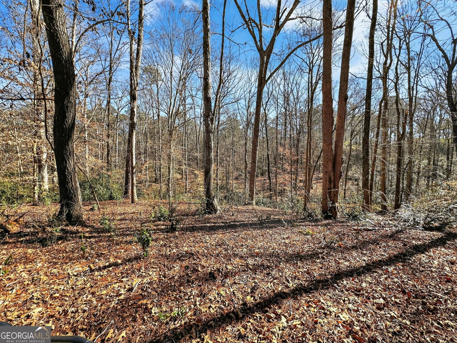 261 McIntosh Circle Jackson - Photo 81