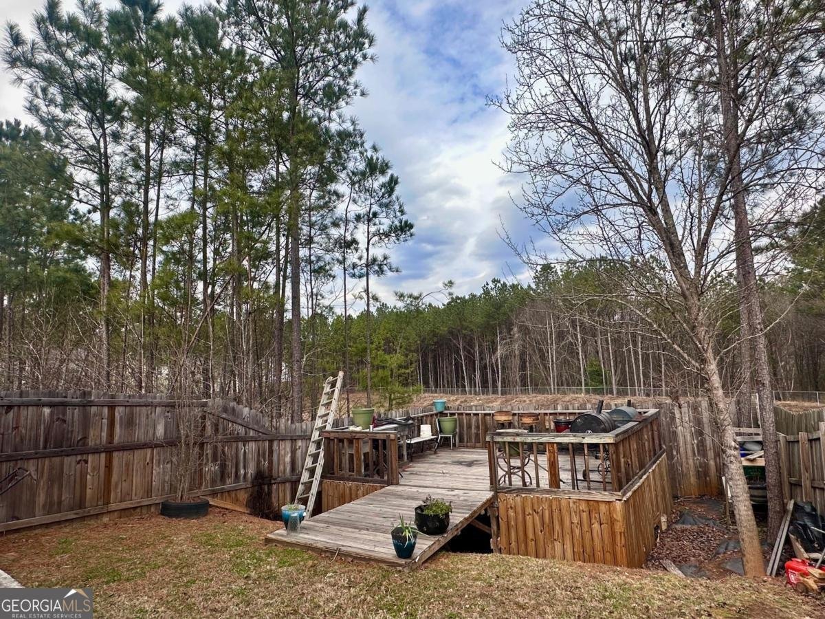 2513 Piering Drive Lithonia - Photo 45