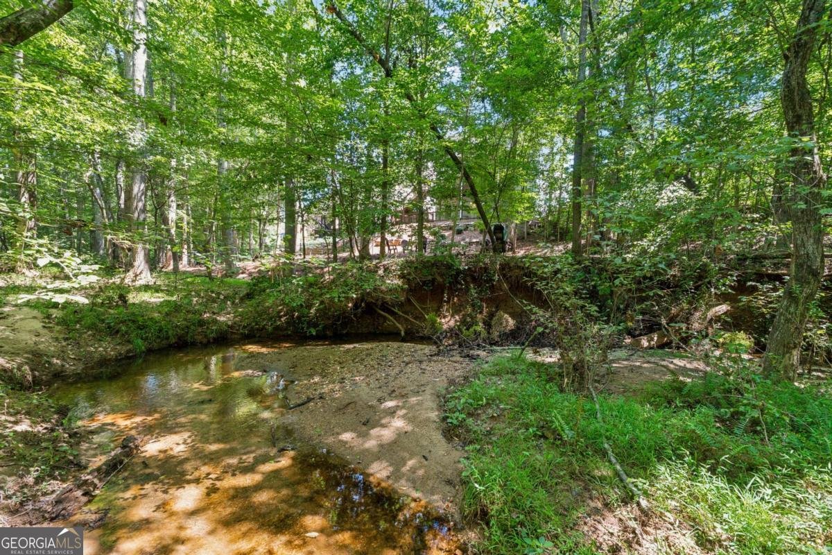 2770 Lansing Lane Cumming - Photo 38