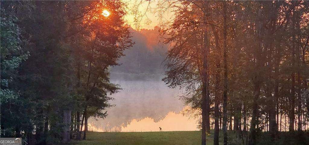 142 Holland Dam Drive Maysville - Photo 48