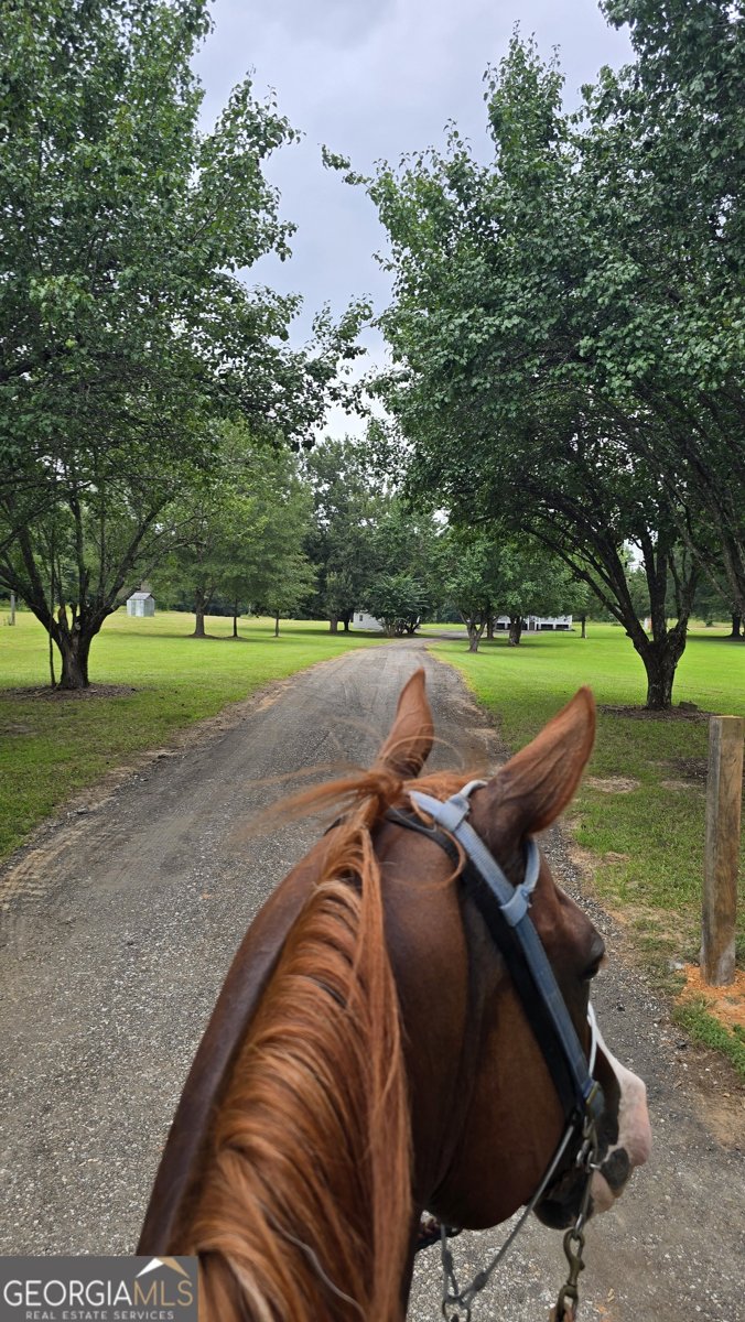 3255 Alvaton Road Gay - Photo 38