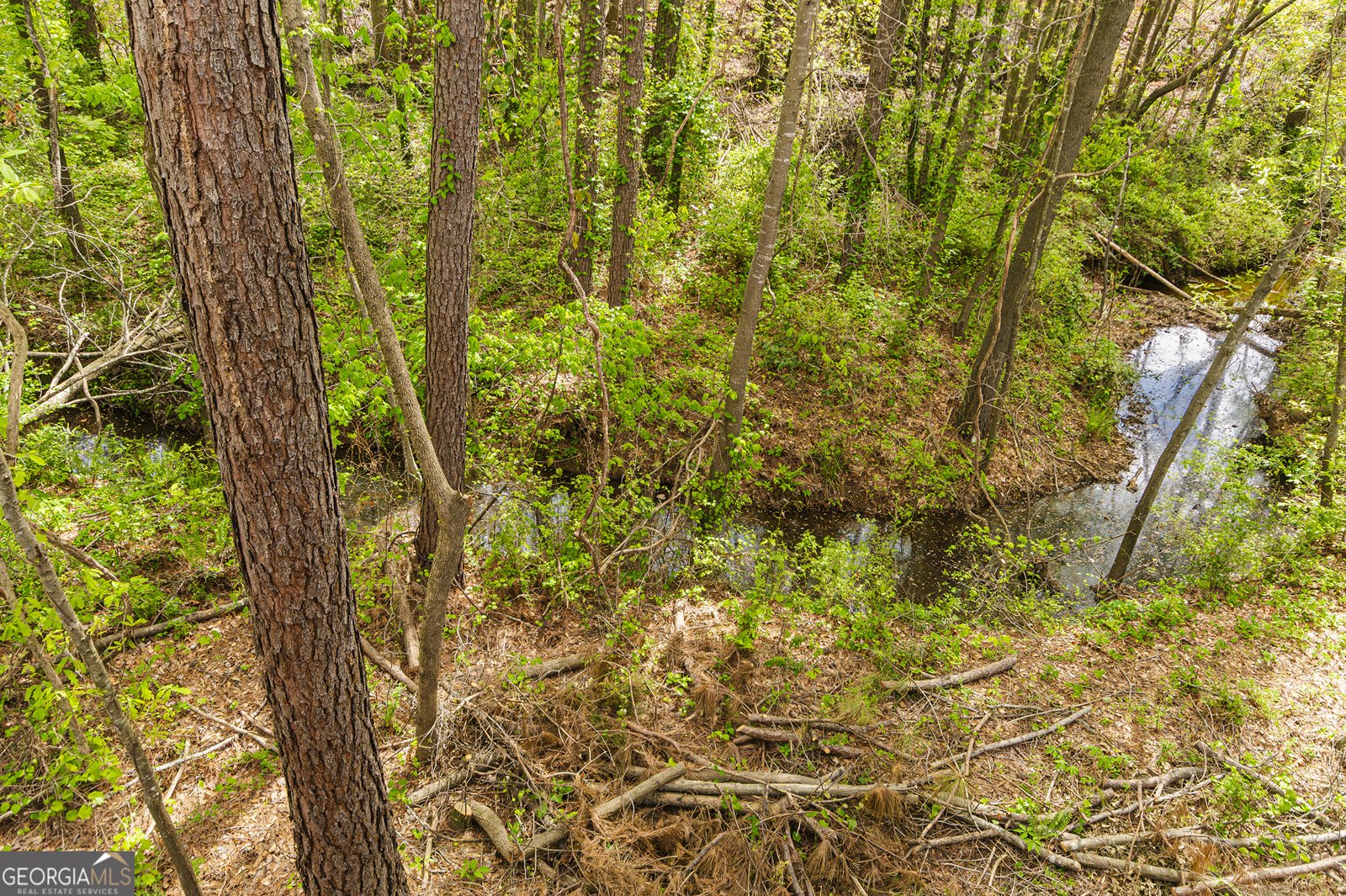 617 Arrowhead Drive Dallas - Photo 40