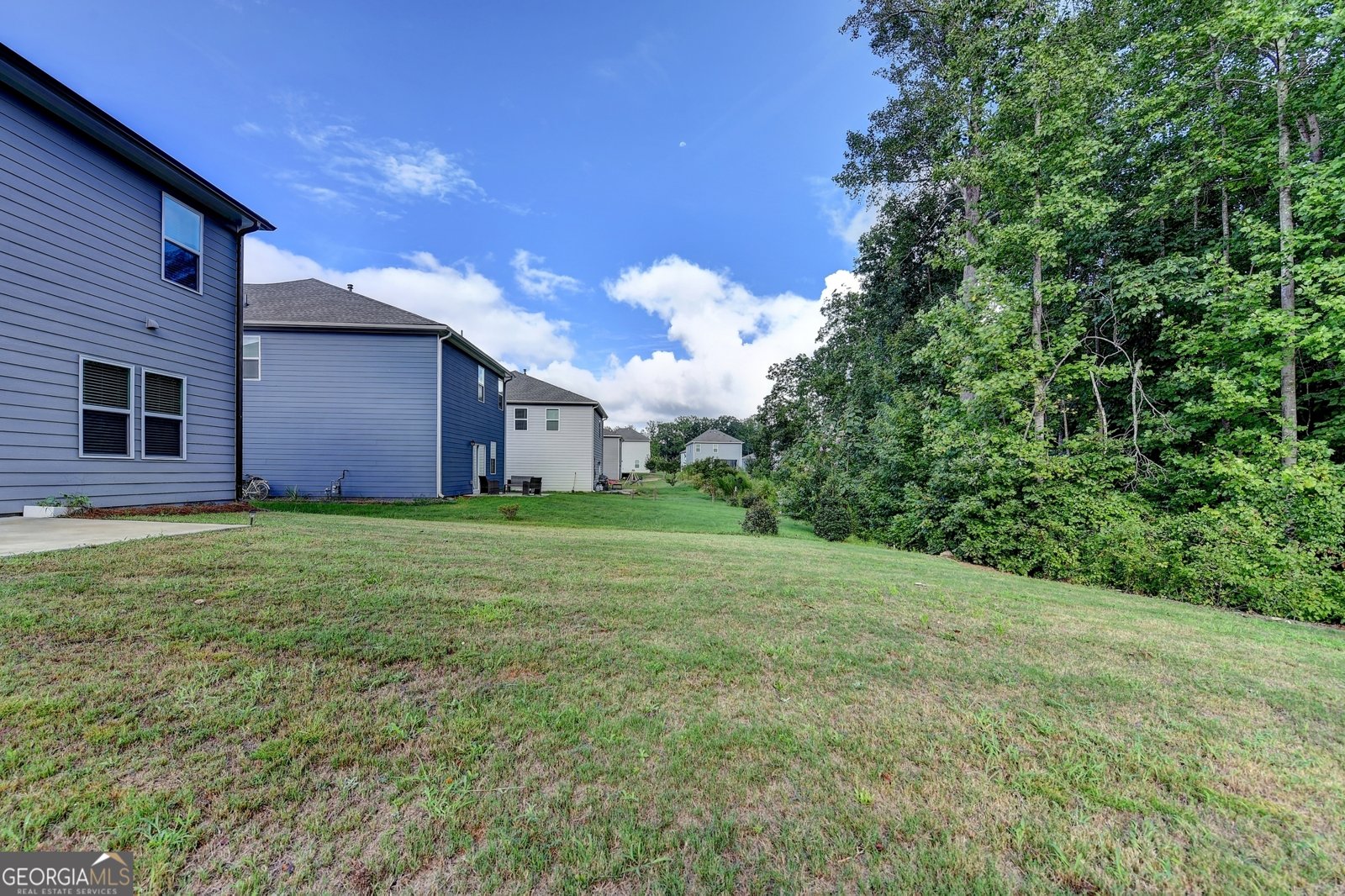 111 Horned Owl Avenue Braselton - Photo 47