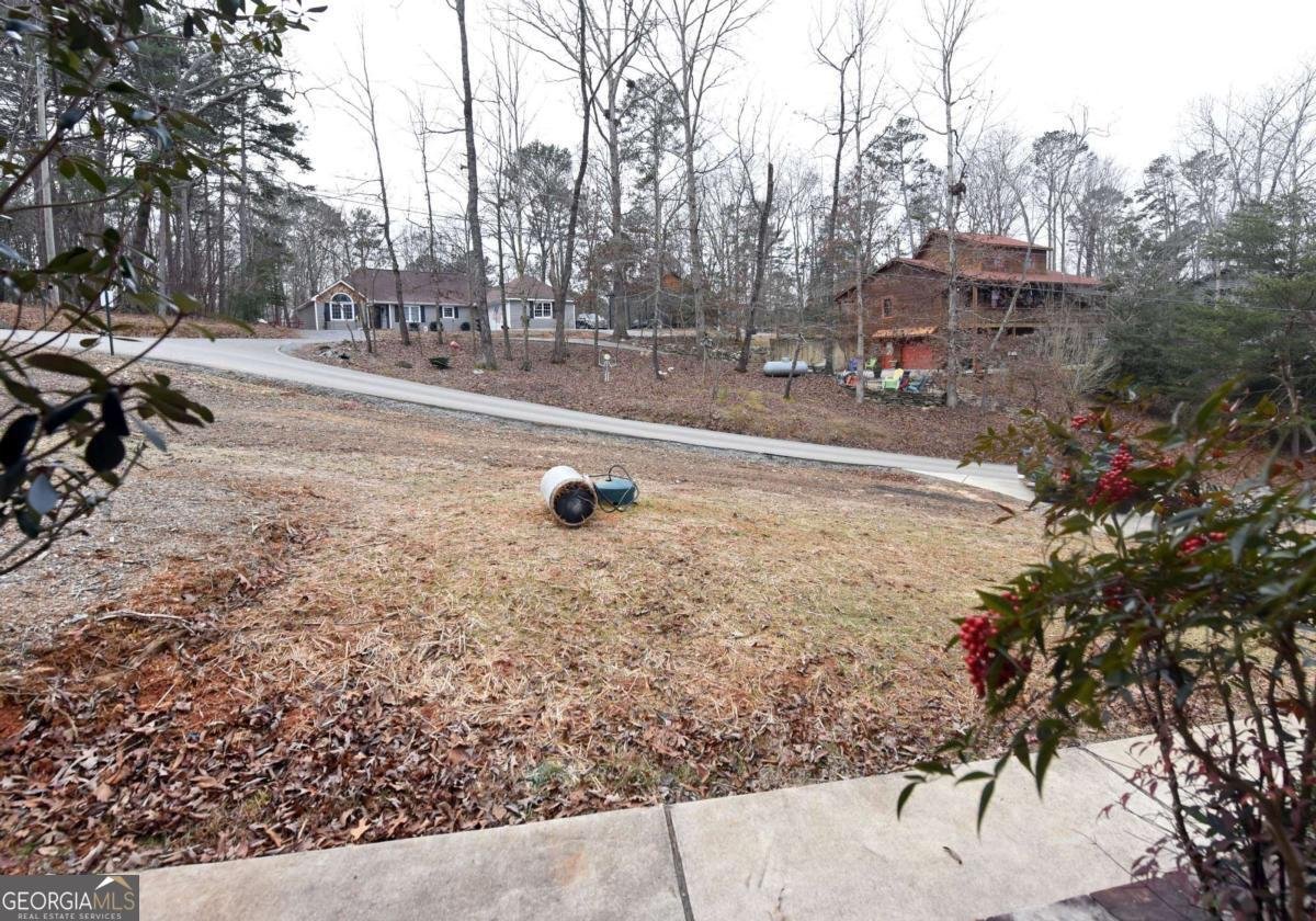 111 Seneca Way Ellijay - Photo 44