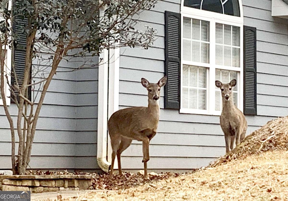111 Seneca Way Ellijay - Photo 8