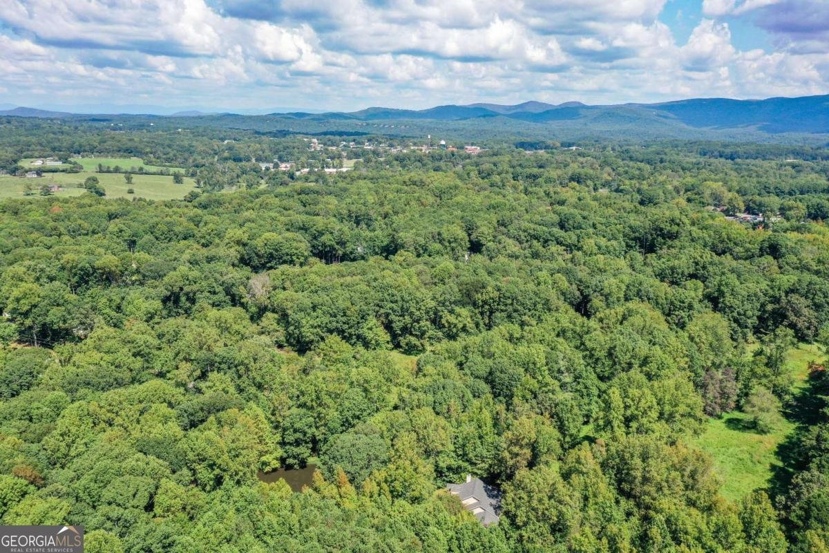 275 Beth Avenue Jasper - Photo 39