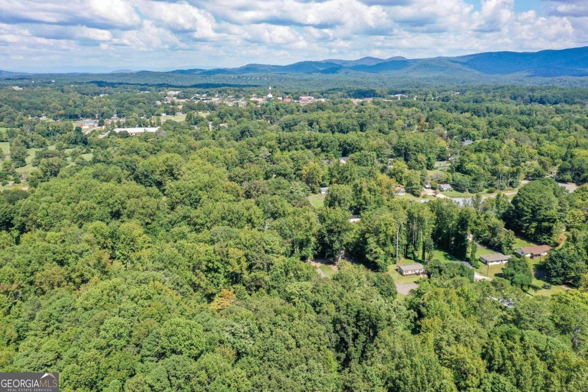 275 Beth Avenue Jasper - Photo 58