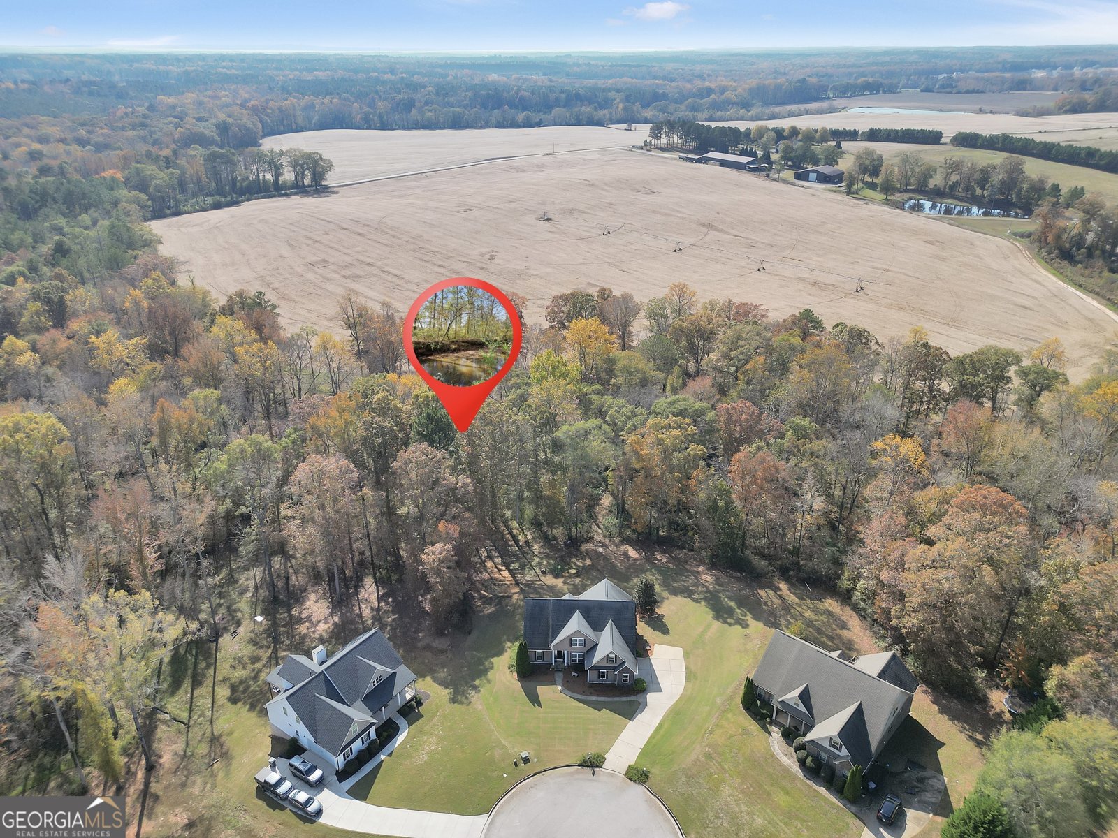 196 Magnolia Trace Milner - Photo 46