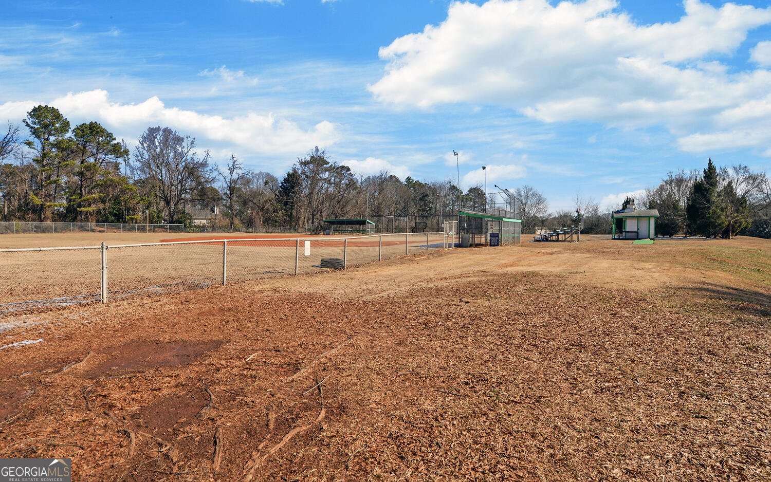 6332 Chestnut Hill Road Flowery Branch - Photo 76