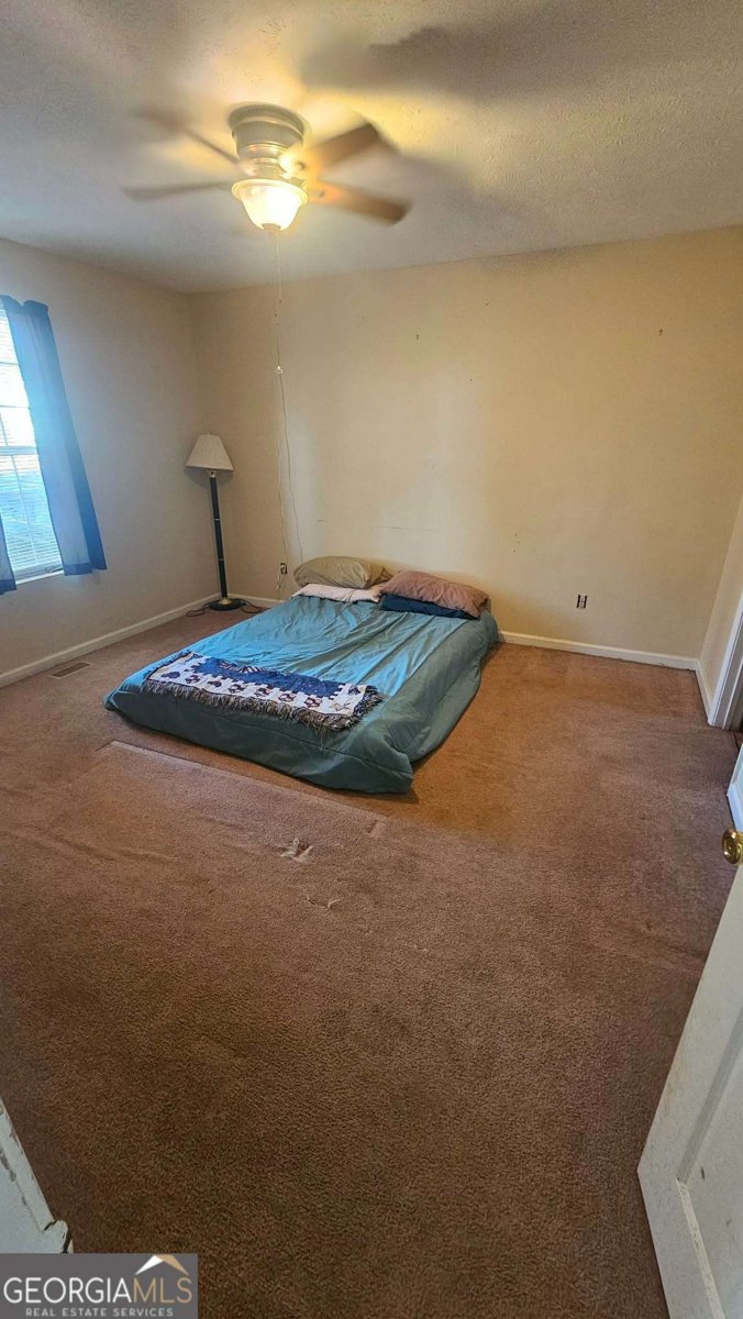 1 Peach Forest Place Douglasville - Photo 10