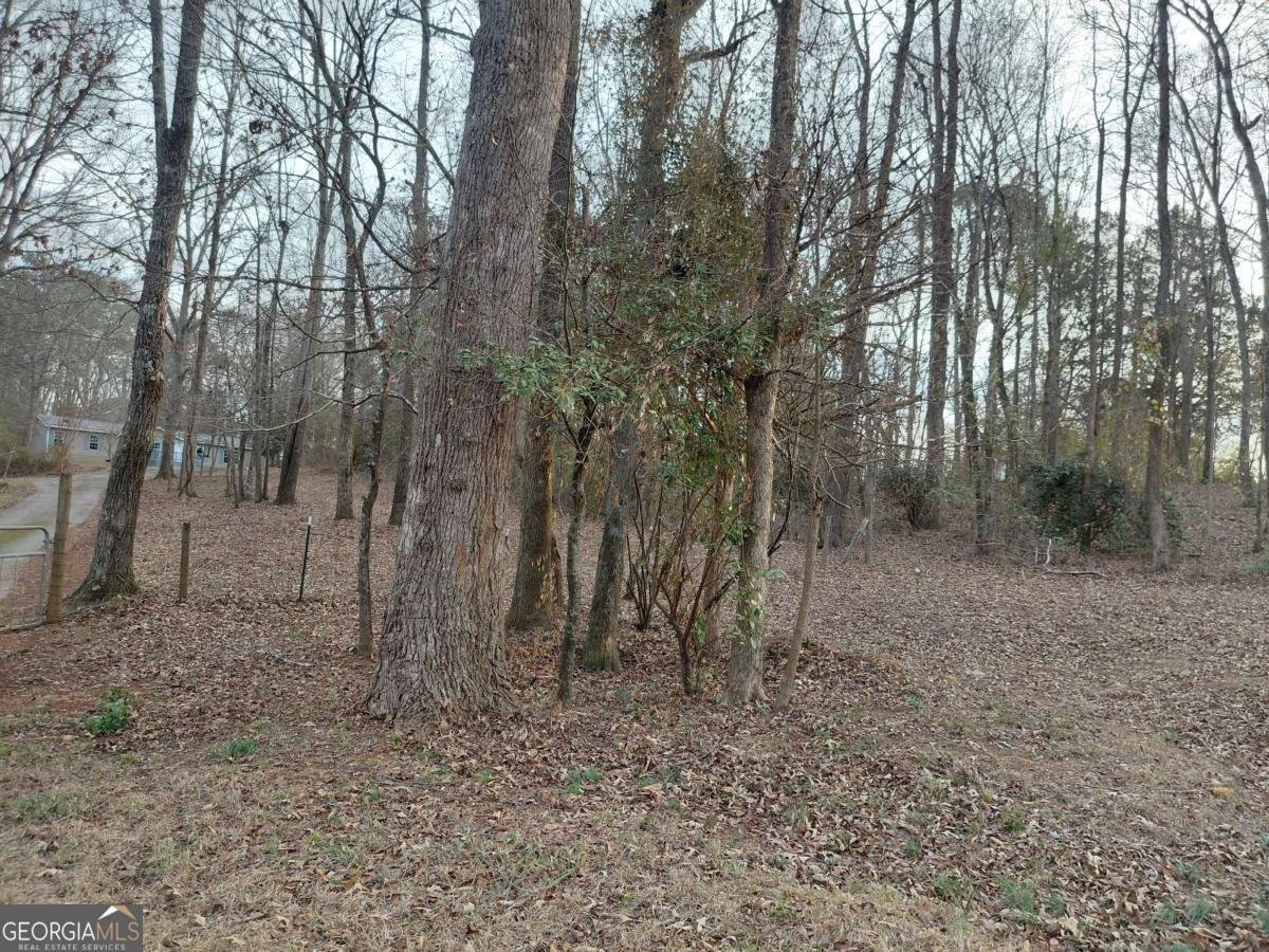 102 brookview Drive Griffin - Photo 1