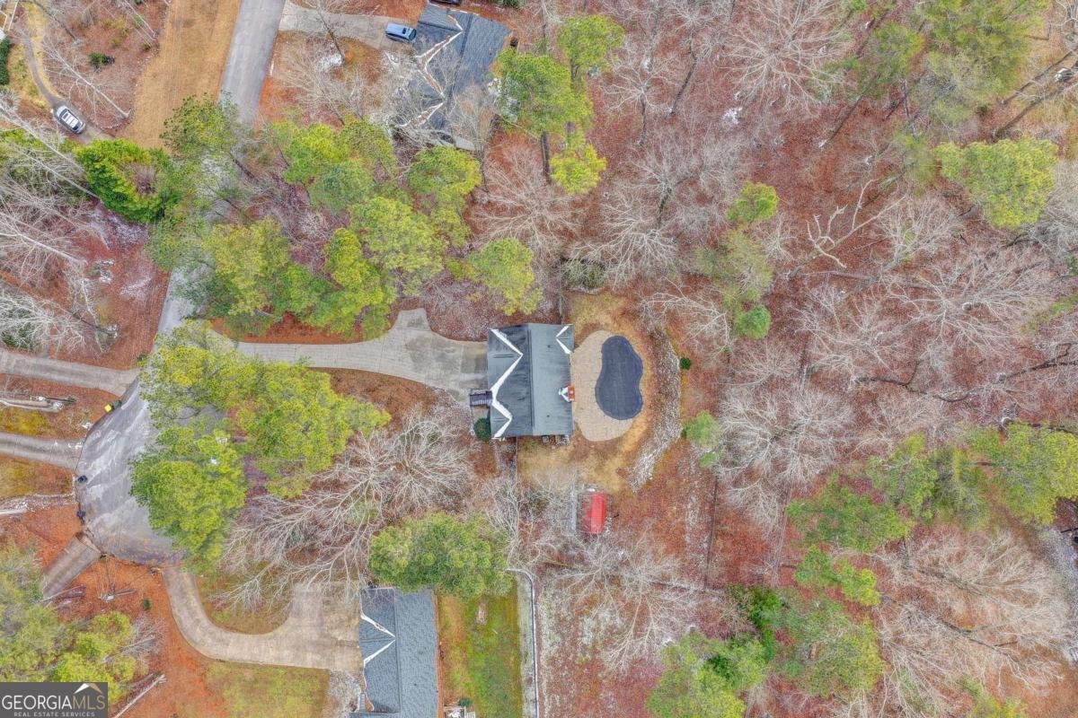 115 Blacks Mill Trace Dawsonville - Photo 38