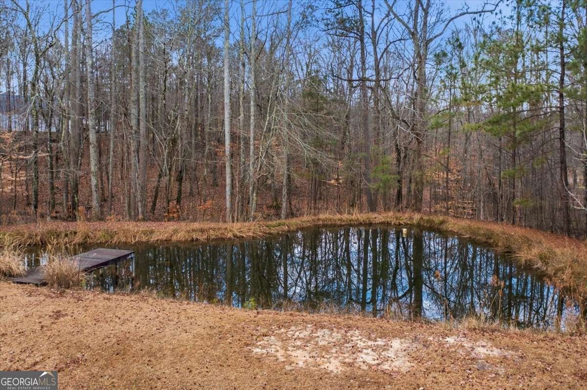 47 Trio Path Dallas - Photo 10