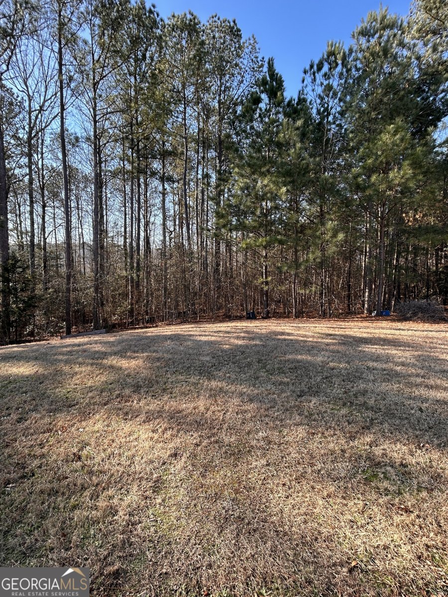 3863 Dragon Fly Lane Loganville - Photo 12