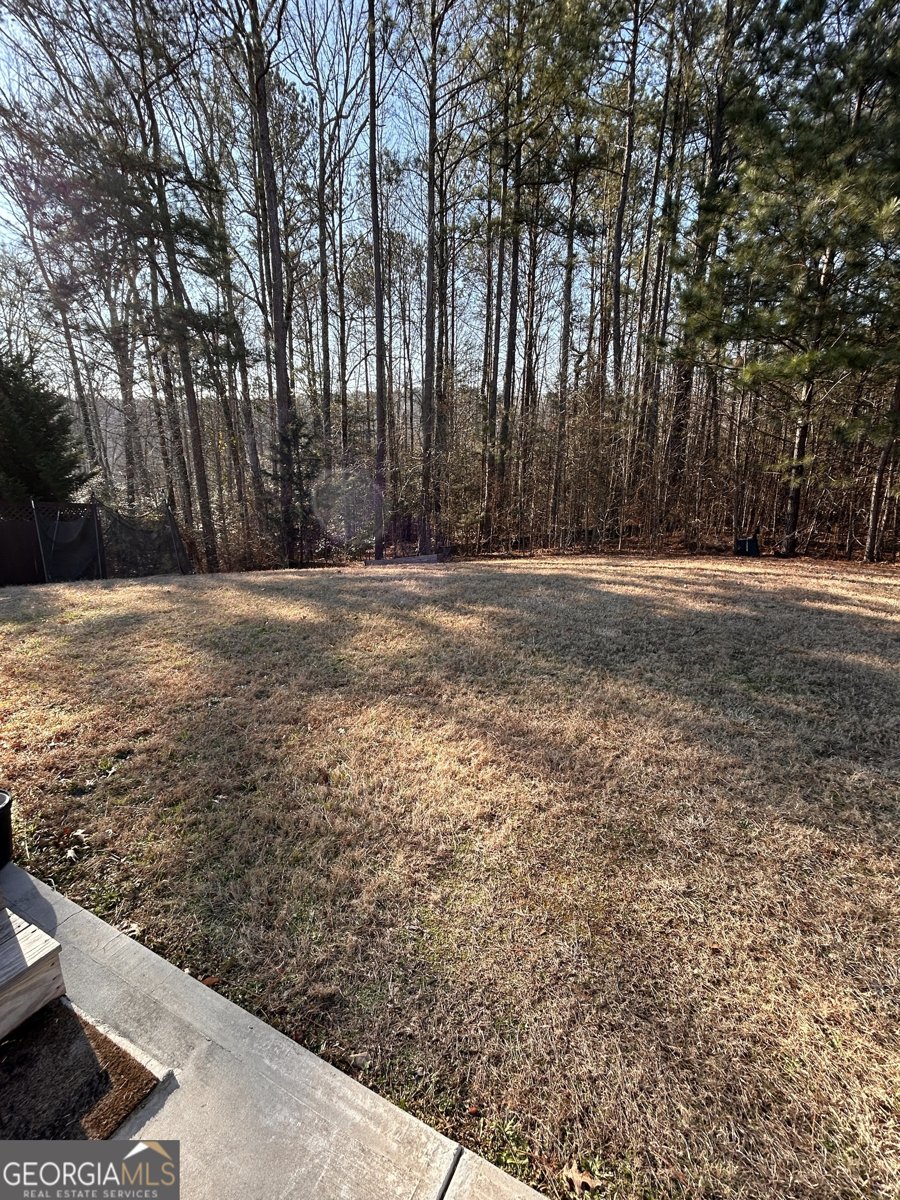 3863 Dragon Fly Lane Loganville - Photo 13